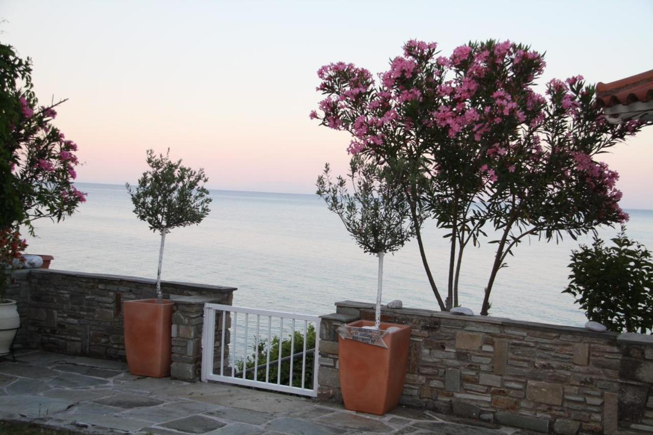 Sunrise Luxury Villa Plaka Litochorou Exteriör bild