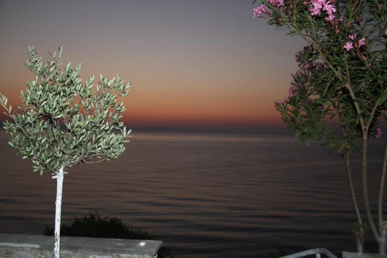 Sunrise Luxury Villa Plaka Litochorou Exteriör bild